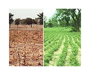 Over Seven Million Under Threat In Niger