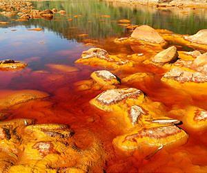 In Search of Virus Fossils