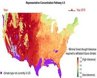 Model predicts how forests will respond to climate change