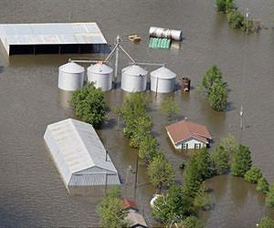 Flooding of farmland does not increase levels of potentially harmful flame retardants in milk