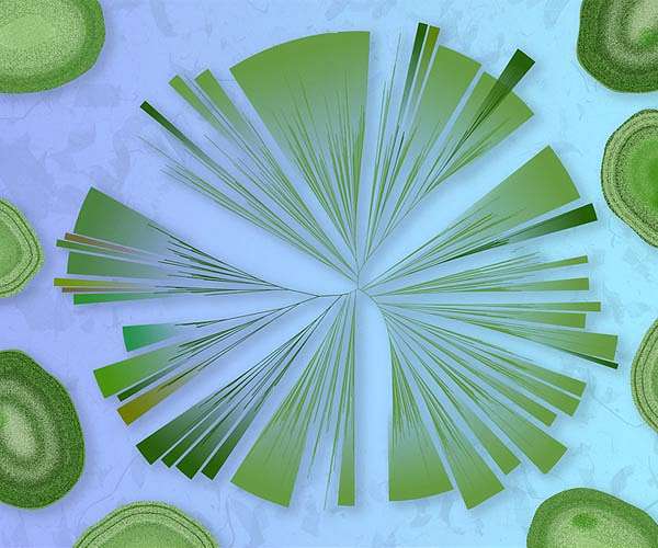 Scientists discover a new way of sharing genetic information in a common ocean microbe