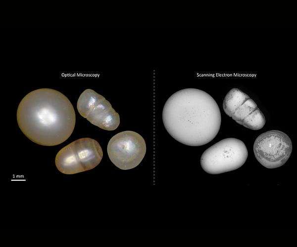 Exploring the nanoworld of biogenic gems