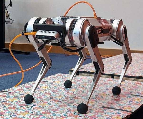 One giant leap for the mini cheetah