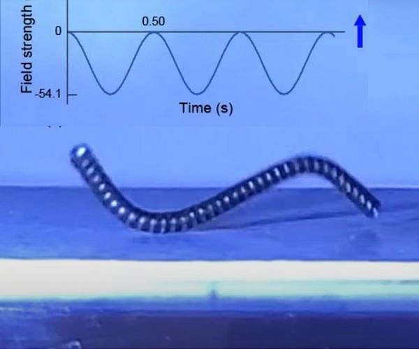 Magnetic robots walk, crawl, and swim