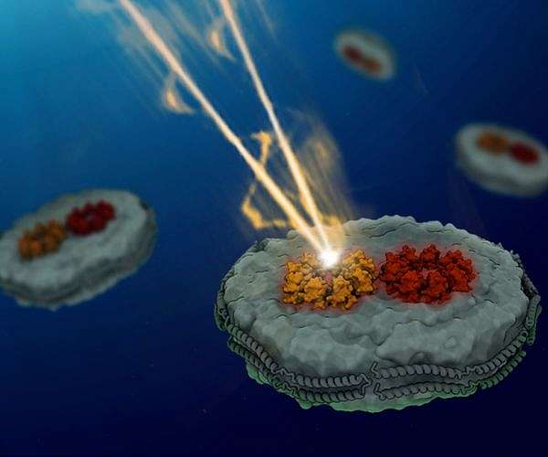 Biophotovoltaics: a step forward in sustainable energy technology