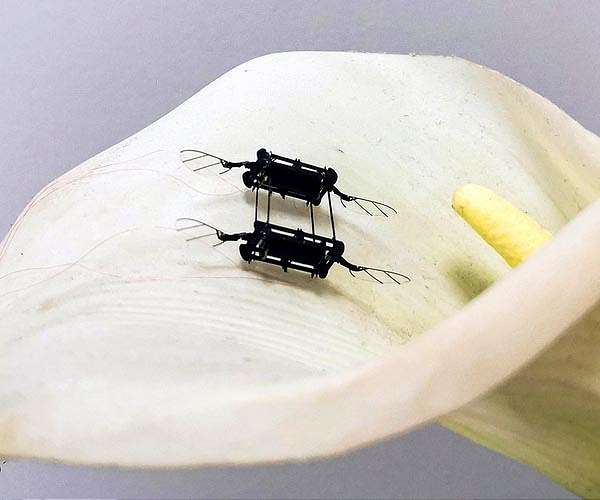 Giving bug-like bots a boost