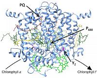 New clues could help scientists harness the power of photosynthesis