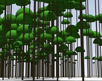 Predicting The Future Of Plant Communities