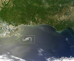 Katrina's lessons frame Obama oil response