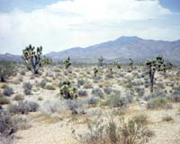 Clear Skies Solar Signs Agreement To Install Solar Energy System