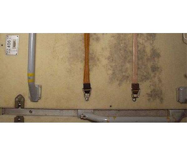 Keeping mold out of future space stations