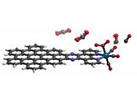 Chemists create molecular 'leaf' that collects and stores solar power without solar panels