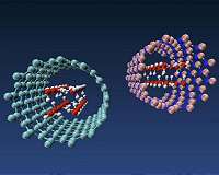 Nanotubes change the shape of water