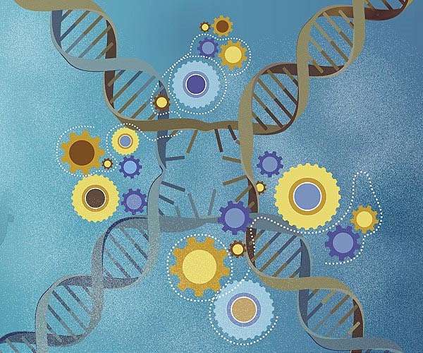 Clearing a Path for More Efficient and Cost-Effective Molecular Separations