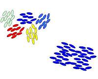 Research reveals how order first appears in liquid crystals