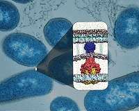 New class of drugs holds promise for combating antibiotic resistance