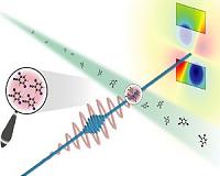 A Molecular Ballet under the X-ray Laser