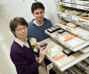 Ecologists Receive Mixed News From Fossil Record