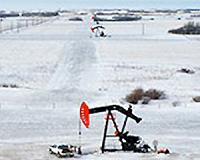 Energy Prices and Business Decision-Making in Canada