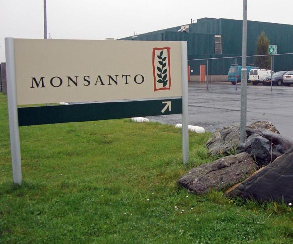 Canadian farmer who took on Monsanto dies aged 89