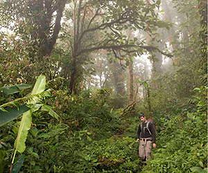 7 arrested in murder of Costa Rican environmentalist