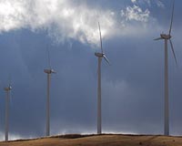 Wind: The Easiest Crop To Harvest