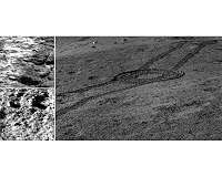 Chang'e 4 mission discovers new secrets from Lunar farside