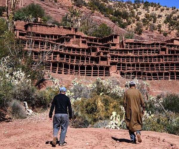 Stung by drought, Morocco's bees face disaster