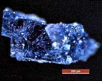 Ingredients for life revealed in meteorites that fell to Earth