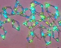 New understanding of how shape and form develop in nature