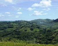 Agroforestry systems can repair degraded watersheds