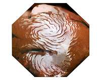 Portals to new worlds: Martian exploration near the North Pole