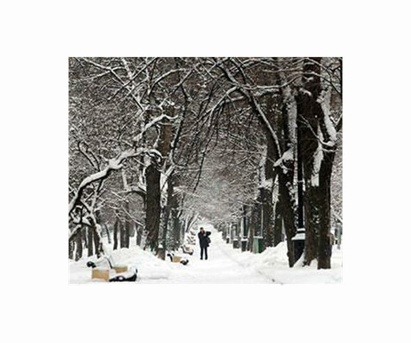 Record-breaking snowfall blankets Moscow