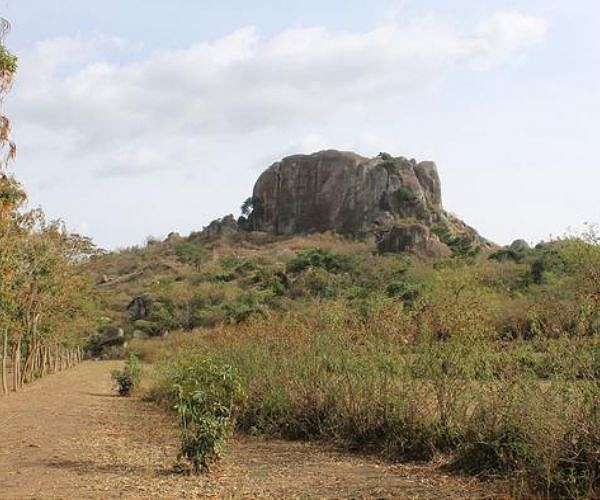 Earliest Evidence of Plant Farming Unearthed in East Africa