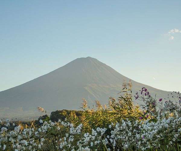 Still no snow on Japan's Mount Fuji, breaking record