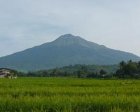 Central Philippines volcano spouts massive ash column