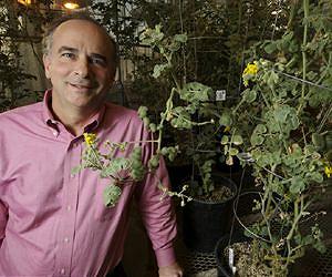 Scientists urge new approaches to plant research