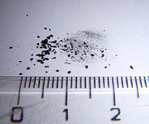 Super-Strong, High-Tech Material Found to be Toxic to Aquatic Animals