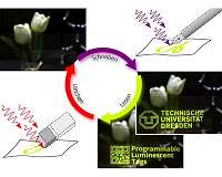 Physicists at TU Dresden write, read and erase using light