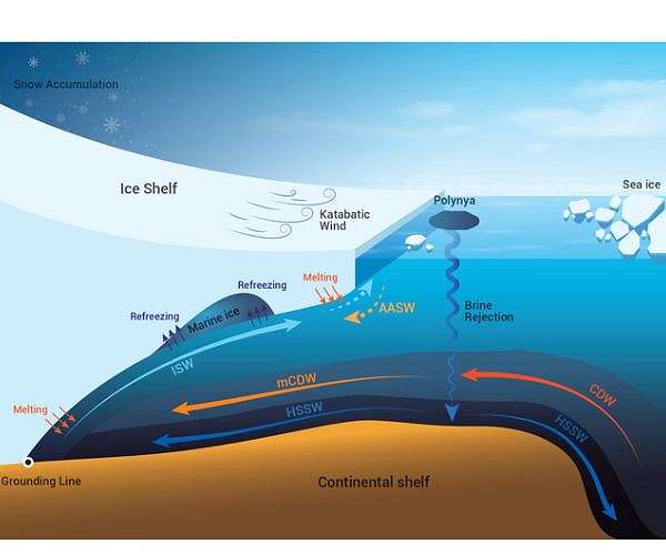 Why Antarctic ice shelves are losing their mass and how it leads to global sea level rise