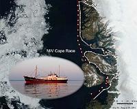 NASA's OMG Mission Maps Greenland's Coastline