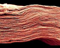 Right electrolyte doubles novel 2D material's ability to store energy
