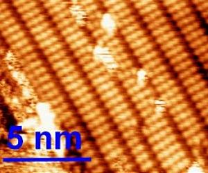 Organic Nanoelectronics A Step Closer