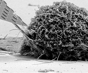 The Spark Within: Light-Emitting Bioprobe Fits in a Single Cell