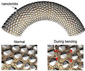 Mainz scientists create new flexible mineral inspired by deep-sea sponges