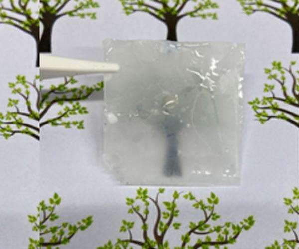 Creating solar cells and glass from wood - or a billion tons of biowaste