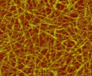 Engineering algae to make the 'wonder material' nanocellulose for biofuels and more