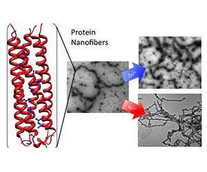 Nanofiber Breakthrough Holds Promise for Medicine and Microprocessors