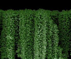 Nano, photonic research gets boost from new 3-D visualization technology