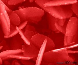 Safety of nanoparticles in food crops is still unclear